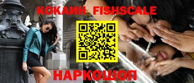 a pvp Камышлов