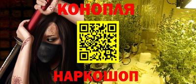 a pvp Камышлов