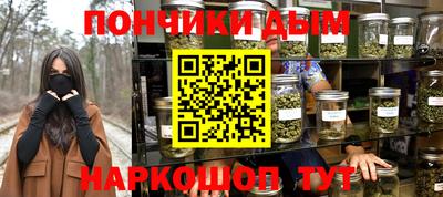 a pvp Камышлов