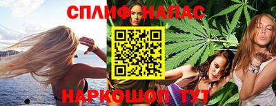 a pvp Камышлов